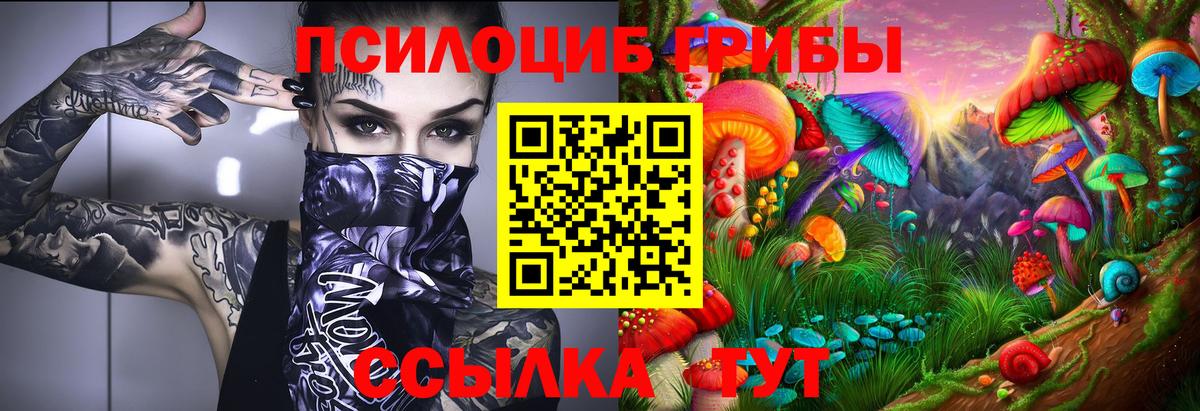 Псилоцибиновые грибы GOLDEN TEACHER  Вход с VPN  Советский 