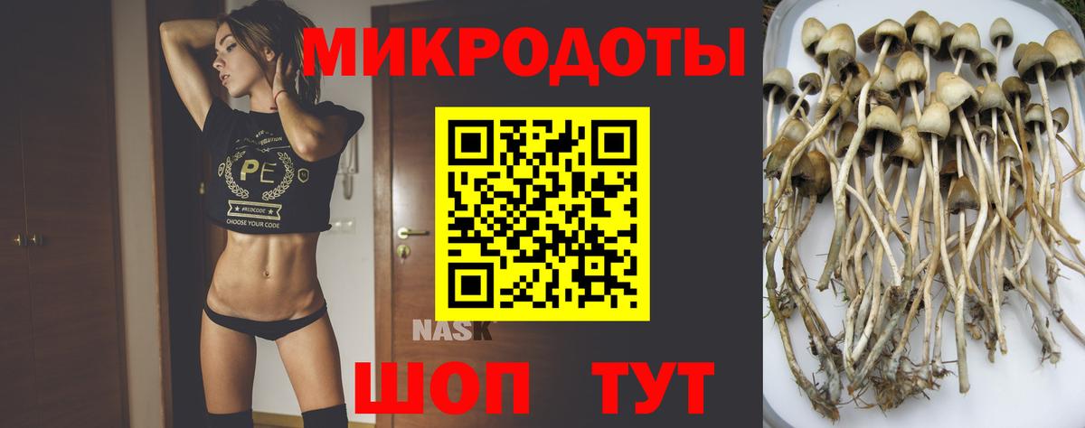 Псилоцибиновые грибы Cubensis Советский